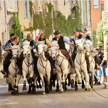 La Maison Du Trident En Camargue Piscine Et Jacuzzi * Vauvert