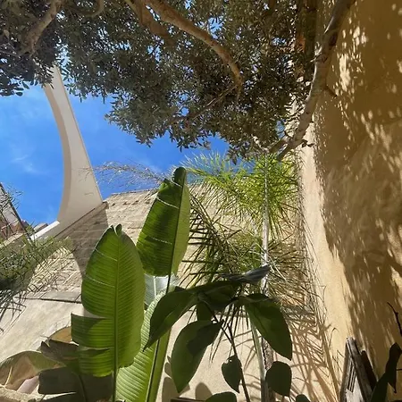 La Maison Du Trident En Camargue Piscine Et Jacuzzi